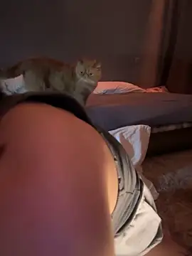 Snapshot of Bastet chatting on January 14, 9:51 pm Bastet online show from January 14, 9:51 pm