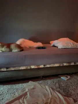 Snapshot of Bastet chatting on January 15, 7:34 pm Bastet online show from January 15, 7:34 pm