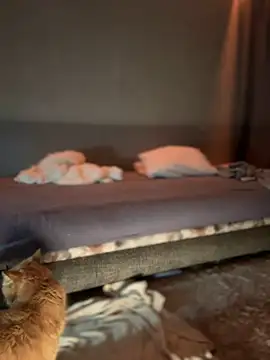 Snapshot of Bastet chatting on January 16, 7:31 pm Bastet online show from January 16, 7:31 pm