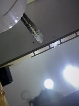 Snapshot of Tayra_Siny chatting on February 14, 12:47 pm Tayra Siny online show from February 14, 12:47 pm