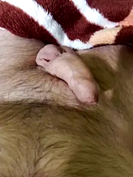 Snapshot of Robertvirt chatting on February 16, 11:06 am Robertvirt online show from February 16, 11:06 am