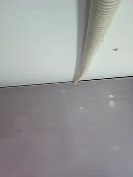 sweet lucia online show from March 11, 9:21 pm