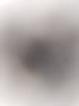 Snapshot of Pitercom chatting on September 20, 3:46 pm Pitercom online show from September 20, 3:46 pm