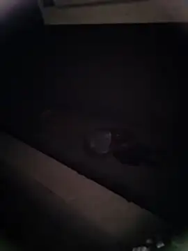 Pitercom online show from January 9, 12:46 am