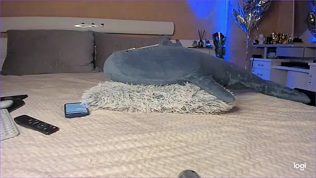 Diamond D  online show from October 16, 5:03 pm