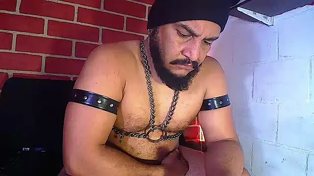 the master foal  online show from January 14, 5:01 pm