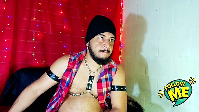 the master foal  online show from September 17, 10:39 am