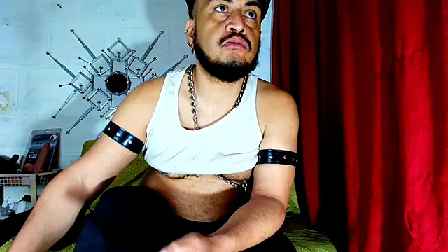 the master foal  online show from November 29, 11:02 am