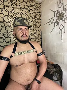 the master foal  online show from March 19, 5:28 pm