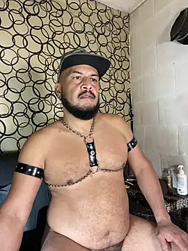 the master foal  online show from April 19, 7:18 am