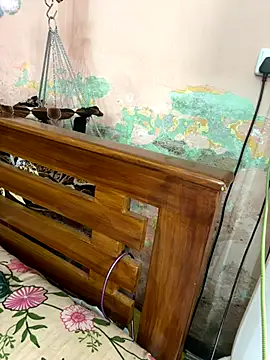 falooda288 online show from October 28, 8:40 am