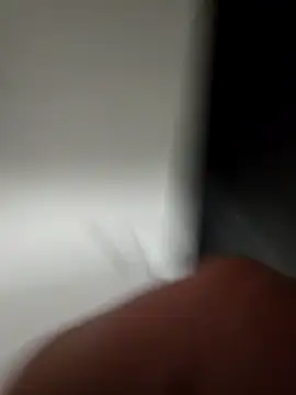 Snapshot of WhiteMeat069 chatting on December 3, 12:13 am WhiteMeat069 online show from December 3, 12:13 am