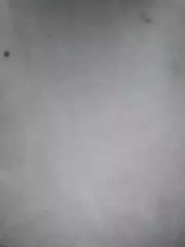 Telugu reddy  online show from January 23, 8:45 pm