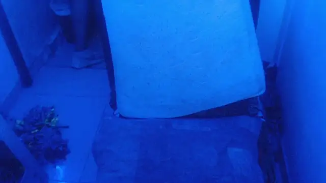 Snapshot of selenax2023 chatting on February 2, 11:03 pm selenax2023 online show from February 2, 11:03 pm