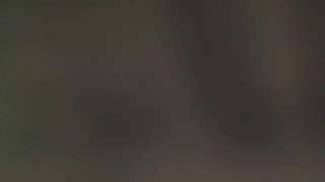 leccaleccafiga online show from February 25, 6:17 pm