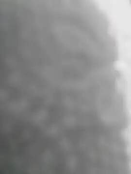 Snapshot of Sexilvenia chatting on May 15, 10:28 pm Sexilvenia online show from May 15, 10:28 pm