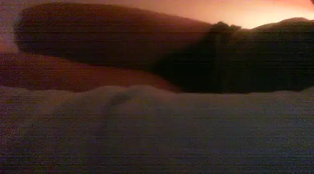 patrasdick94 online show from February 13, 3:03 pm