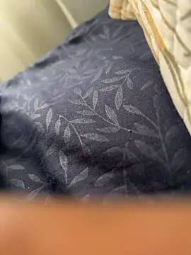 ROBOSTALLION online show from April 4, 11:40 am