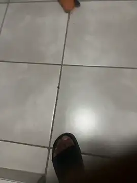 ROBOSTALLION online show from April 7, 9:26 pm