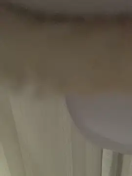 GHsveter online show from March 31, 10:37 am