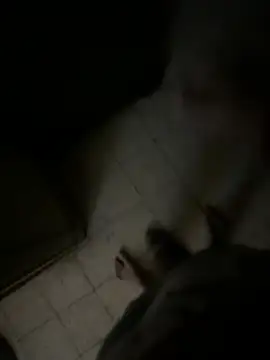 Dedoow online show from April 6, 10:44 pm