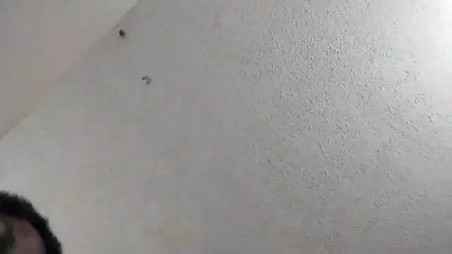 247Srokin online show from March 6, 11:01 pm