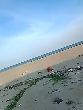 patrick deck online show from October 6, 11:40 am