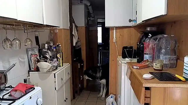 Snapshot of VanessaDoyle chatting on February 26, 8:57 am VanessaDoyle online show from February 26, 8:57 am