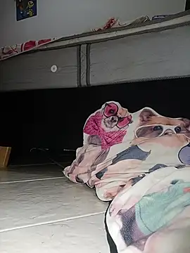 Van3orgasm4me online show from February 13, 7:04 am