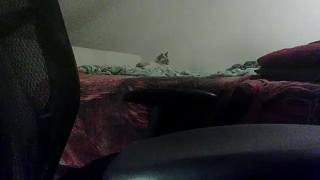 Snapshot of OralDesires2 chatting on February 19, 11:46 pm OralDesires2 online show from February 19, 11:46 pm