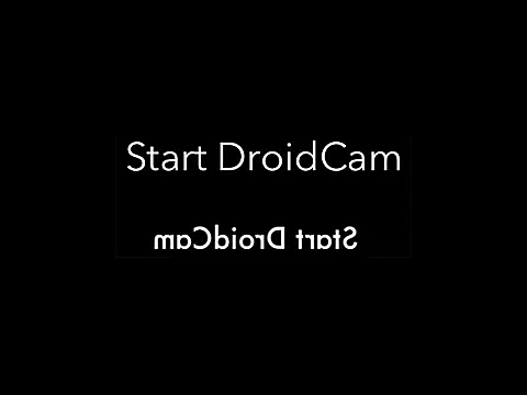 feathersify online show from November 24, 7:19 am