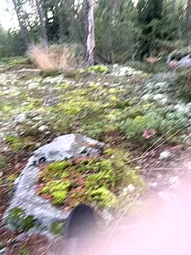 Andreashow online show from September 22, 4:09 pm