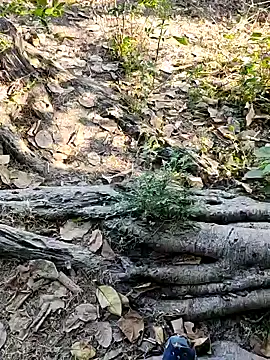 Rinku5553 online show from February 2, 7:20 am