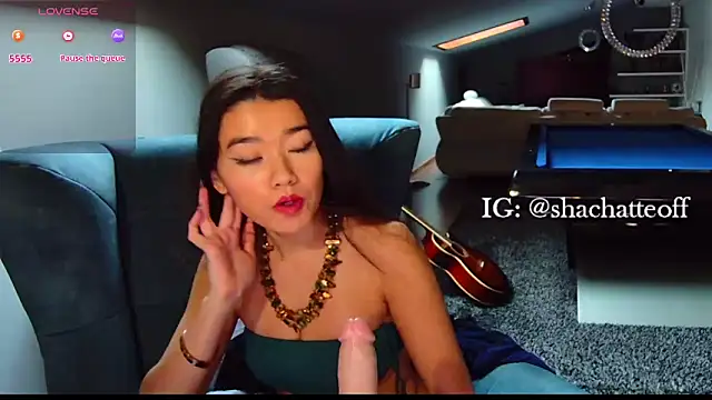 shachatteof online show from November 26, 10:27 am