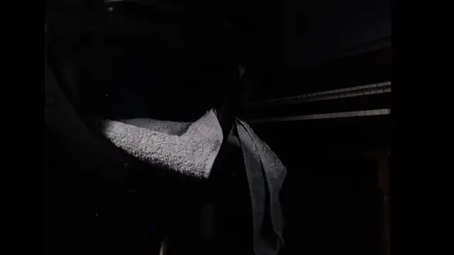 Snapshot of mybigfathead chatting on January 29, 4:58 am mybigfathead online show from January 29, 4:58 am