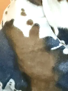 Snapshot of Diya_143 chatting on January 7, 5:43 am Diya 143 online show from January 7, 5:43 am