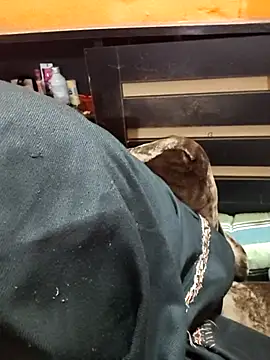 Snapshot of Diya_143 chatting on January 12, 6:35 pm Diya 143 online show from January 12, 6:35 pm