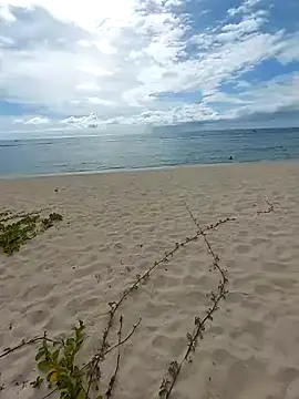 LightedWoman online show from January 2, 11:52 am