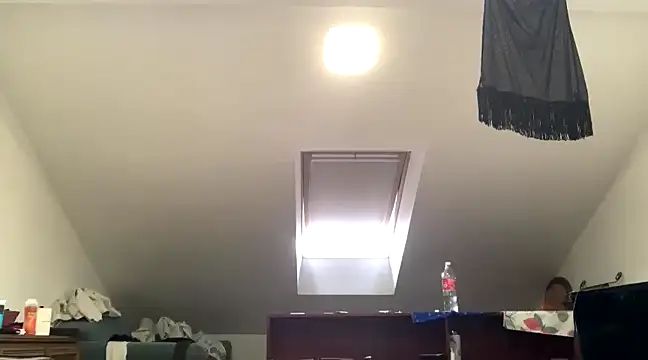 Snapshot of WildzMareNextLevel chatting on January 4, 9:54 am WildzMareNextLevel online show from January 4, 9:54 am