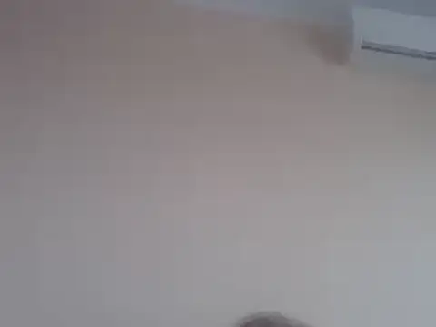 Snapshot of aavocadok chatting on December 12, 8:03 am aavocadok online show from December 12, 8:03 am