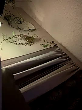 Snapshot of ClumsyLink chatting on October 11, 12:47 pm ClumsyLink online show from October 11, 12:47 pm