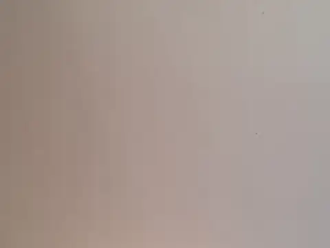 Snapshot of highstepper500 chatting on December 25, 2:02 pm highstepper500 online show from December 25, 2:02 pm