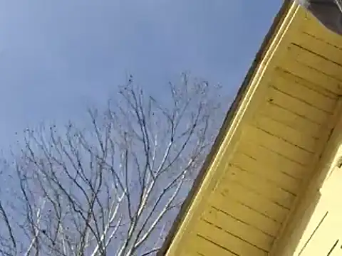 Snapshot of highstepper500 chatting on December 26, 2:12 am highstepper500 online show from December 26, 2:12 am