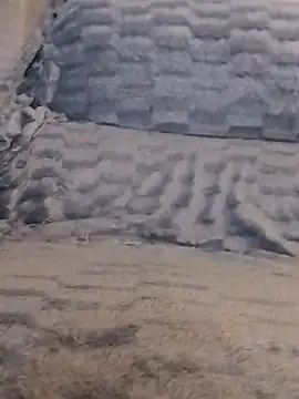 LoGaNfree88 online show from April 13, 1:11 am