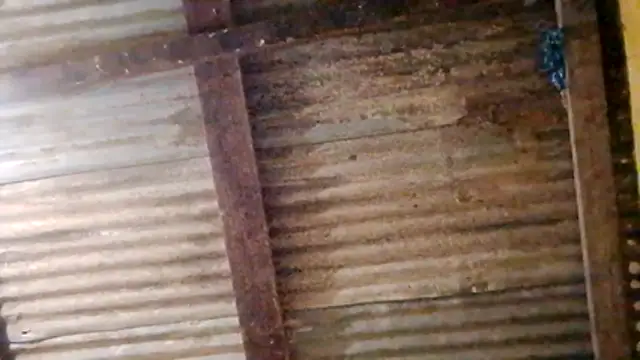 LULE37587001 online show from February 20, 11:05 pm