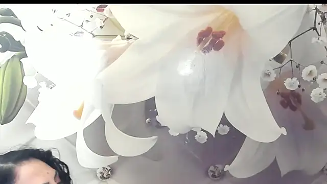 Snapshot of SweetArtemis chatting on February 23, 11:04 pm SweetArtemis online show from February 23, 11:04 pm