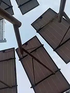 sagrado 1989 online show from January 17, 12:37 am