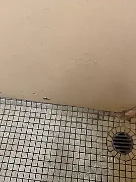 Snapshot of DreamerAsianGuy chatting on December 25, 12:16 am DreamerAsianGuy online show from December 25, 12:16 am