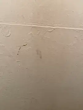 Snapshot of DreamerAsianGuy chatting on January 19, 3:50 am DreamerAsianGuy online show from January 19, 3:50 am