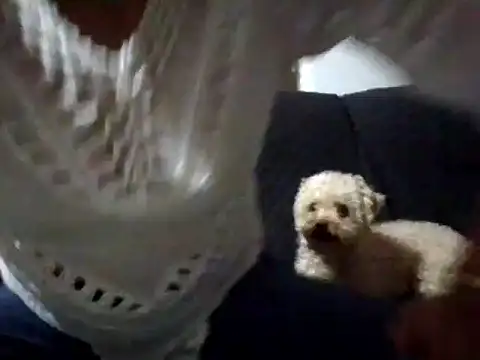 Snapshot of RAYA_1 chatting on February 2, 12:51 am RAYA 1 online show from February 2, 12:51 am